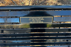 bench-volunteer